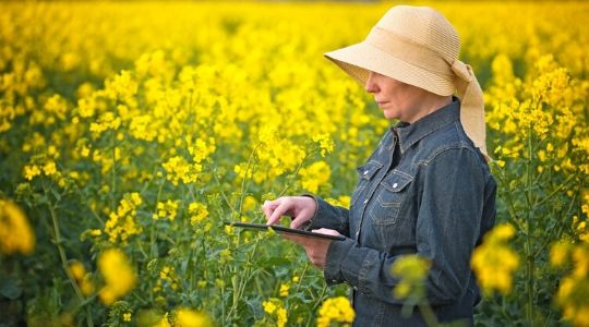 Une agricultrice dans un champ de colza