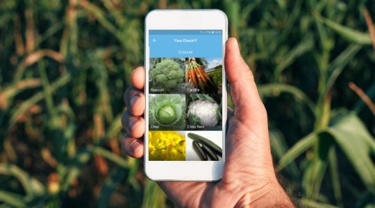 Application Yara CheckIT