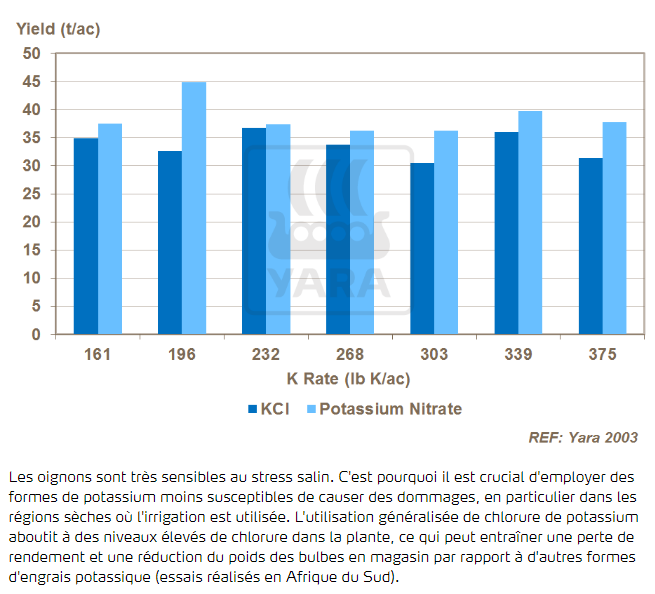 Potassium et stress salin
