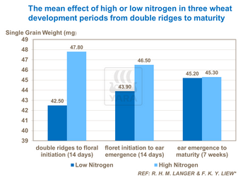 Impact de l'azote sur 3 périodes de croissance du blé