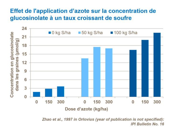 Graphique sur l'effet de l'application d&rsquo;azote sur la concentration de glucosinolate &agrave; un taux croissant de soufre