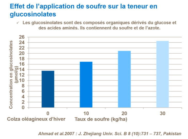 Graphique sur l'effet de l&rsquo;application de soufre sur la teneur en glucosinolates