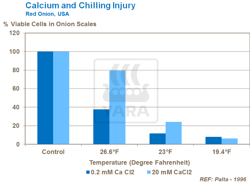 Calcium et altérations dues au froid 
