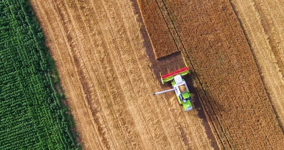 Une moissonneuse dans un champ de blé