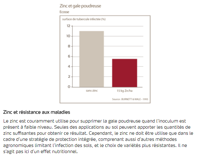 Zinc et résistance aux maladies
