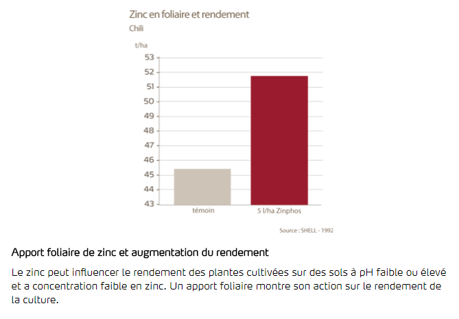 Zinc et rendement