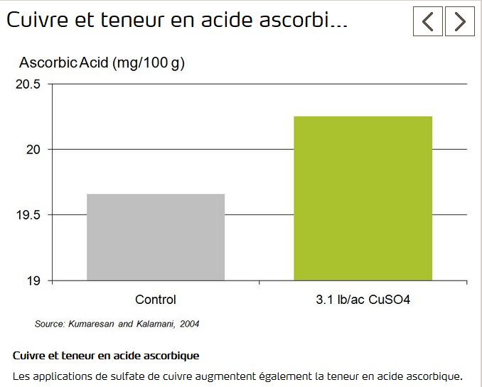 Le cuivre augmenterait teneur en acide ascorbique