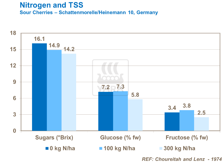 Azote et SST - Cerises 