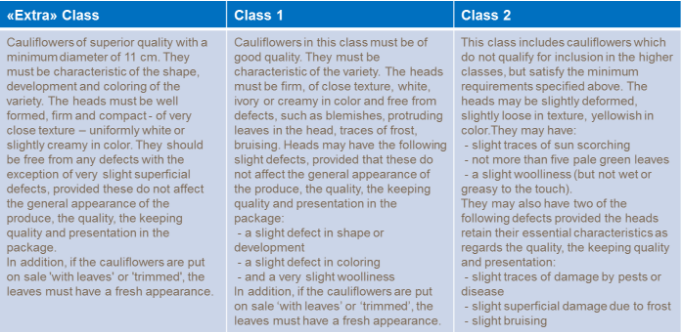 Critères de qualité des choux-fleur