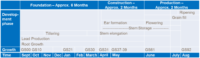 Phases de développement du blé