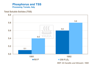 Graphique sur teneur en phosphore et échelle de brix