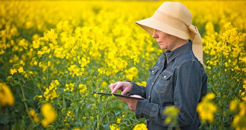 Une agricultrice dans un champ de colza