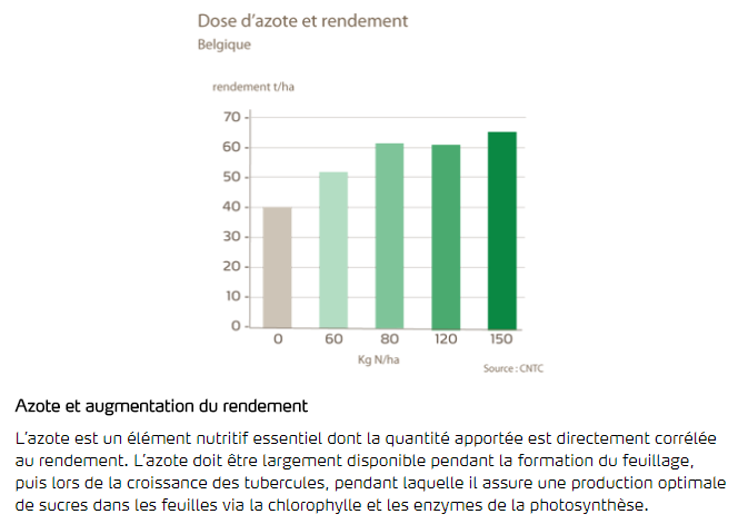 Azote et rendement