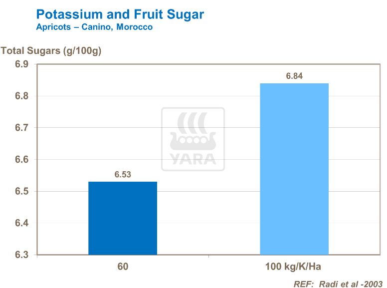 Potassium et fructose - Abricots