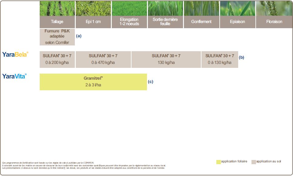 Programme de nutrition du blé améliorant