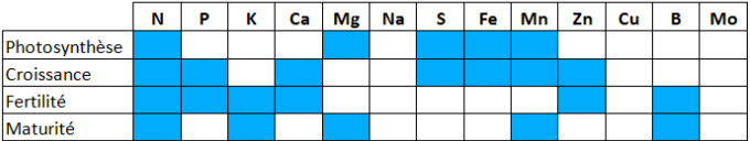 Exemple de groupes fonctionnels