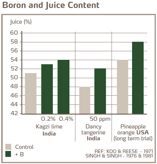 Bore et teneur en jus