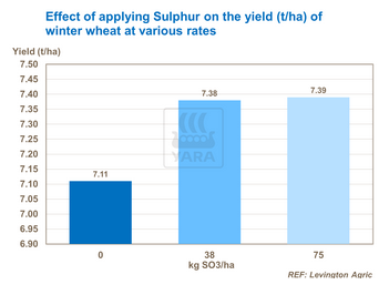 Effet du phosphore sur rendement de blé d'hiver