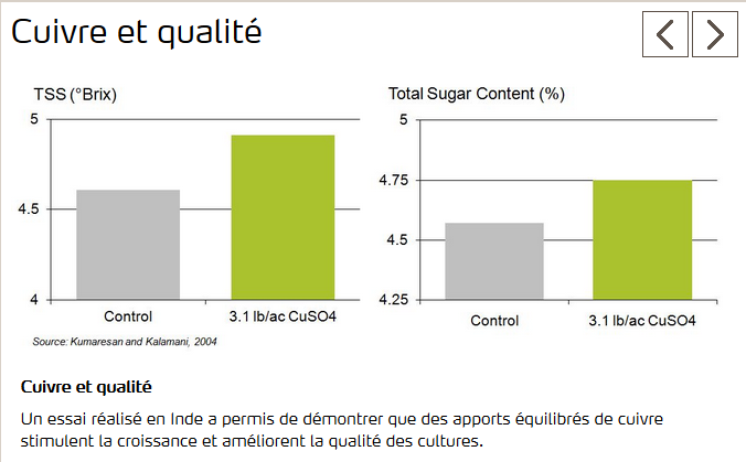 Apport de cuivre augmente qualité de produits