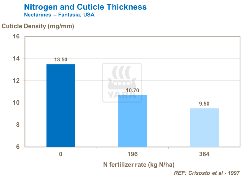 Azote et épaisseur cuticule de nectarines 