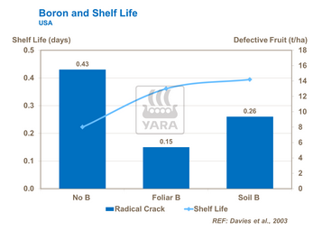 Liens entre bore et durée de conservation des tomates