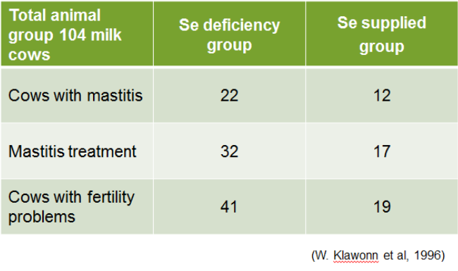 Effet du sélénium sur vaches laitières