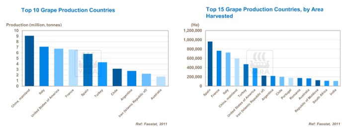 Top 10 des pays producteurs de raisin