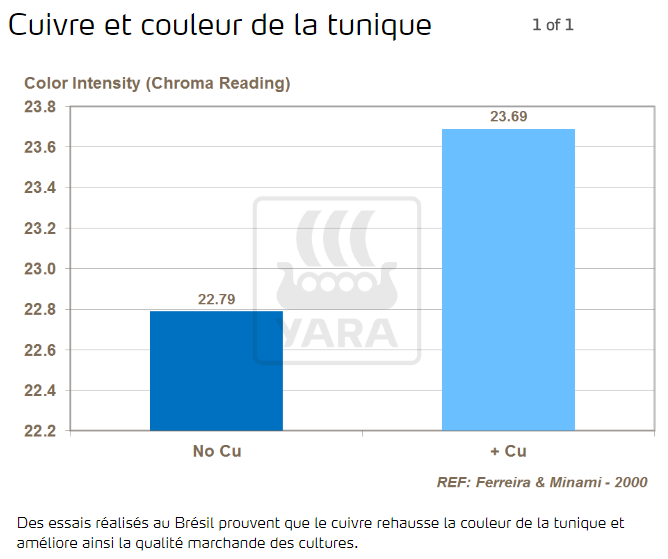 cuivre et couleur de la tunique 