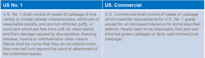 Critères de qualité du chou