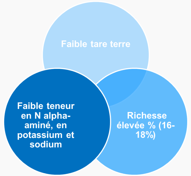 Schéma des conditions de qualité des betteraves 