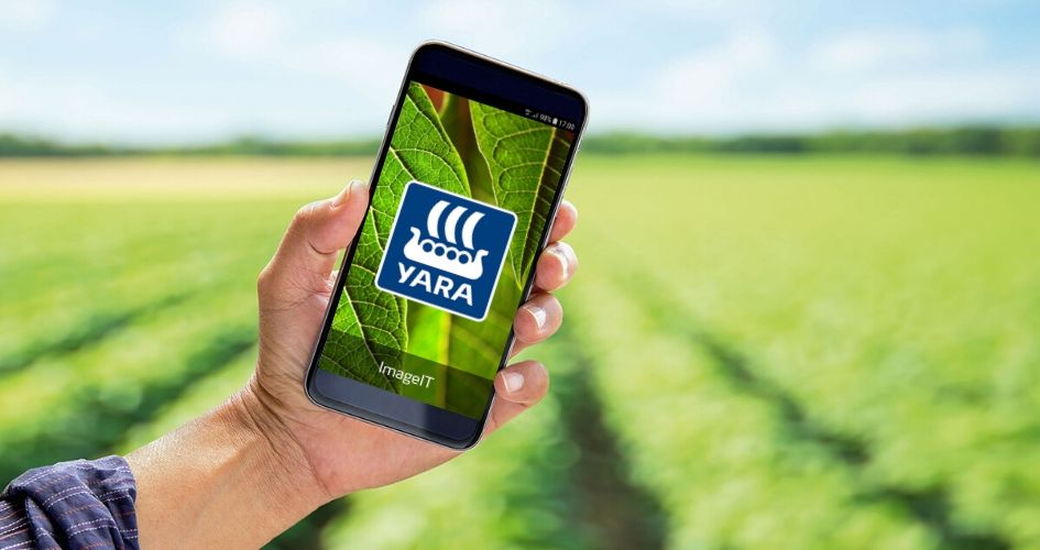 Application Yara ImageIT