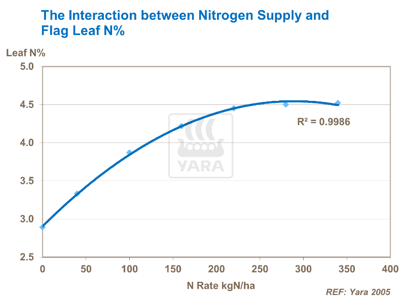 Interaction entre réserves d'azote et pourcentage d'azote dans feuille étendard