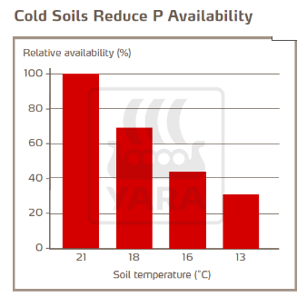 Les sols froids réduisent disponibilité en phosphore