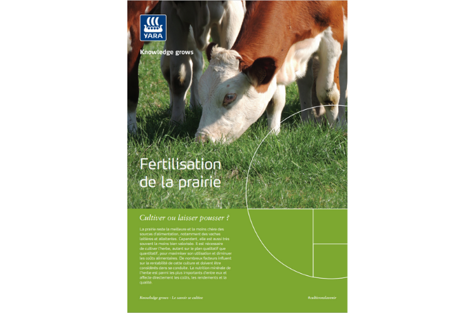 couverture livre blanc prairie