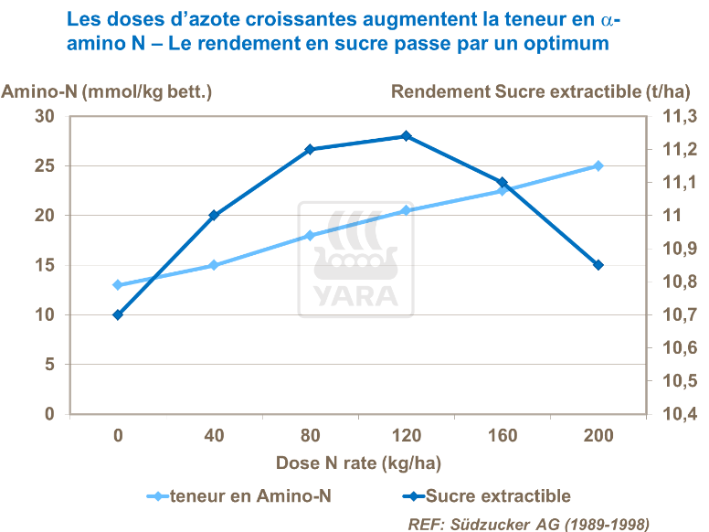 Azote et teneur en sucre 