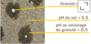 L'humidité est nécessaire pour l'hydrolyse