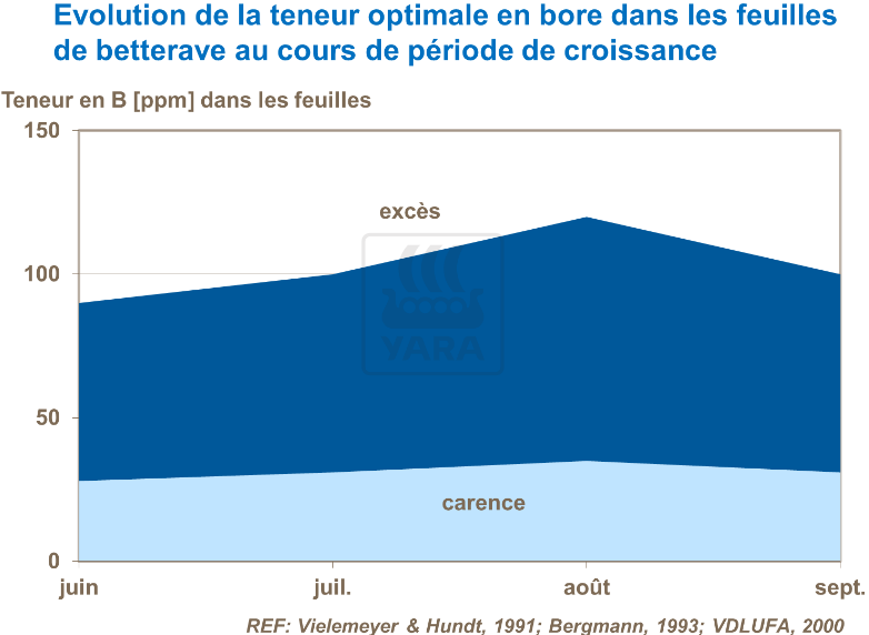 Evolution teneur en bore des feuilles au cours de période de croissance