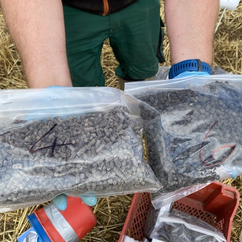 Engrais organo-minéral pilote.jpg