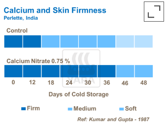 Liens entre calcium et fermeté de la peau