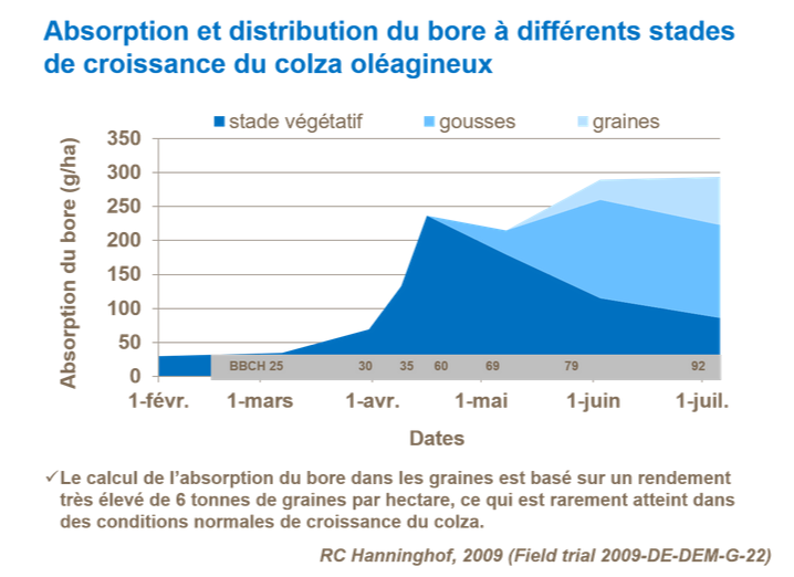 Graphique sur l'absorption et distribution du bore &agrave; diff&eacute;rents stades de croissance du colza ol&eacute;agineux