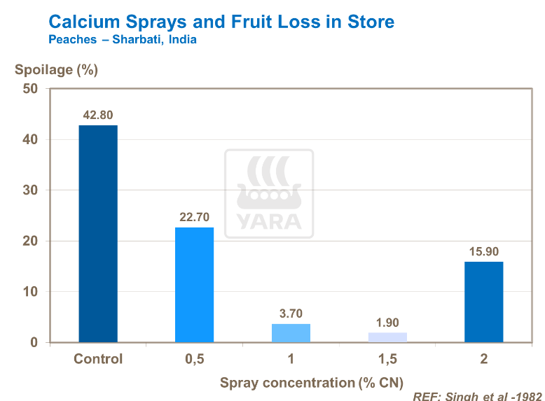 Pulvérisation de calcium et pertes de pêches en magasin