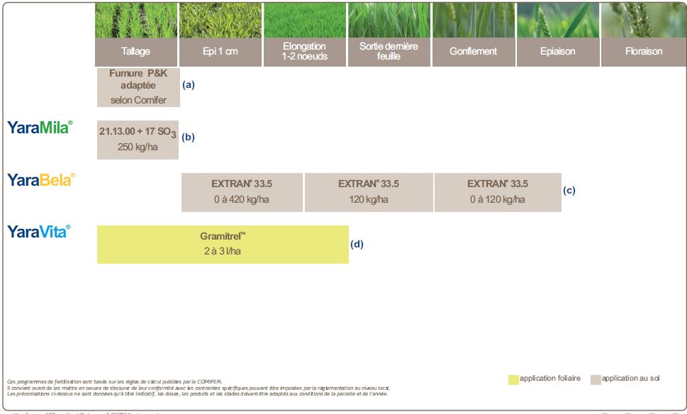 Programme de nutrition pour le blé améliorant