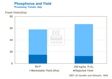 graphique nutriment phosphore pour tomates