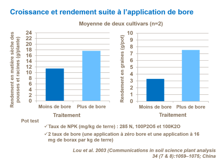Graphique sur la croissance et rendement suite &agrave; l&rsquo;application de bore