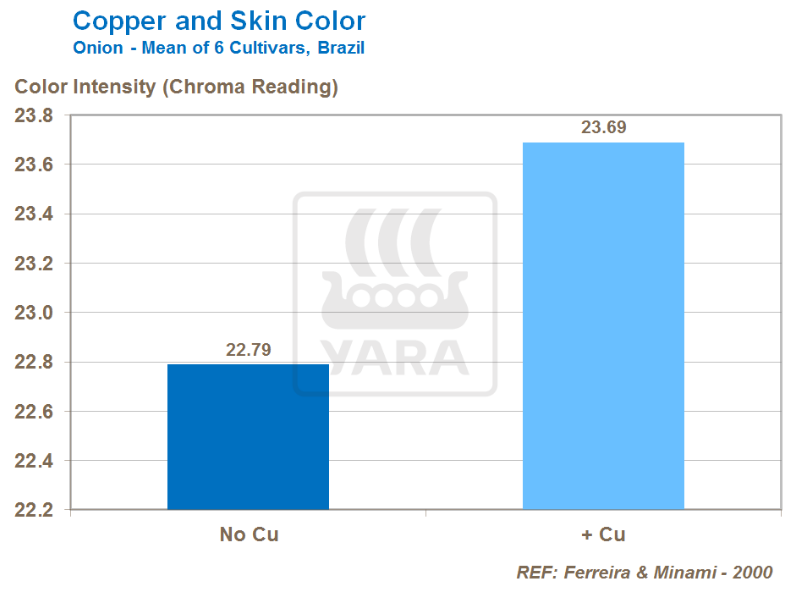 Cuivre et couleur de la peau