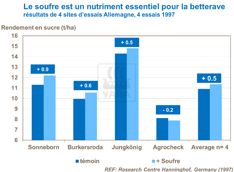 Soufre et rendement en sucre