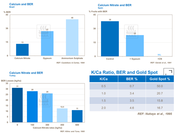 graphique calcium névrose apicale tomates