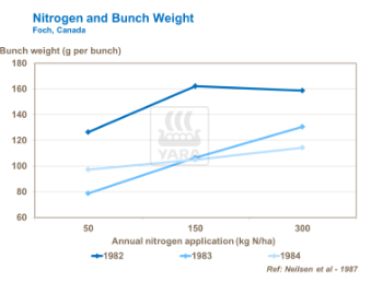 Graphique liens entre azote et poids des grains
