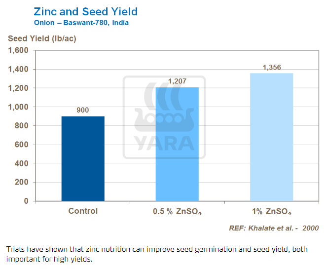 Zinc et rendement des graines
