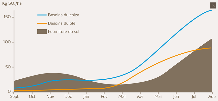 Besoins des cultures en soufre